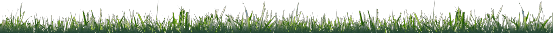 landscape-maintenance-37